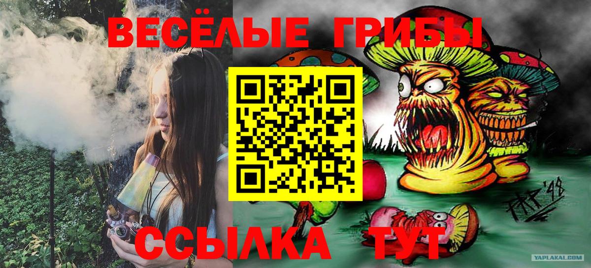 Долгопрудный  Галлюциногенные грибы Psilocybe  Вход с VPN 