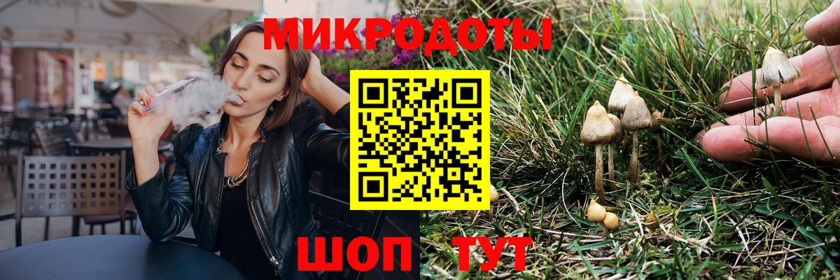 Псилоцибиновые грибы мухоморы Долгопрудный